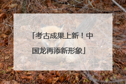 考古成果上新！中国龙再添新形象