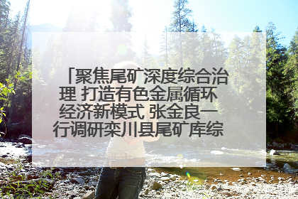 聚焦尾矿深度综合治理 打造有色金属循环经济新模式 张金良一行调研栾川县尾矿库综合治理工作