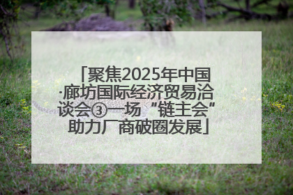 聚焦2025年中国·廊坊国际经济贸易洽谈会③一场“链主会” 助力厂商破圈发展