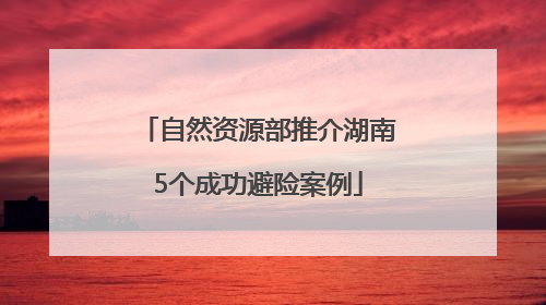 自然资源部推介湖南5个成功避险案例