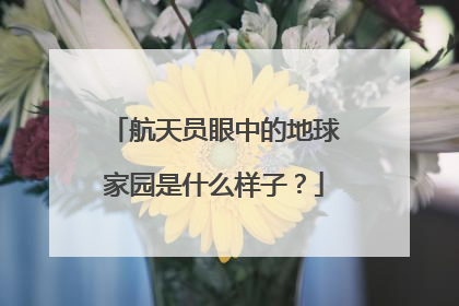航天员眼中的地球家园是什么样子？