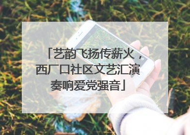 艺韵飞扬传薪火，西厂口社区文艺汇演奏响爱党强音