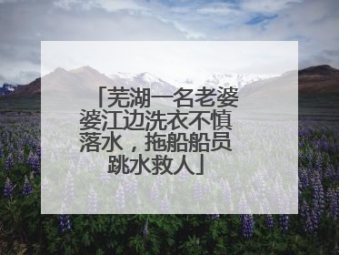 芜湖一名老婆婆江边洗衣不慎落水，拖船船员跳水救人
