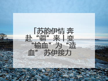 苏韵伊情 奔赴“疆”来丨变“输血”为“造血” 苏伊接力守护“心”生