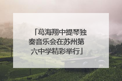 葛海翔中提琴独奏音乐会在苏州第六中学精彩举行