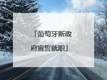 葡萄牙新政府宣誓就职