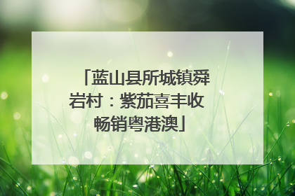 蓝山县所城镇舜岩村：紫茄喜丰收 畅销粤港澳