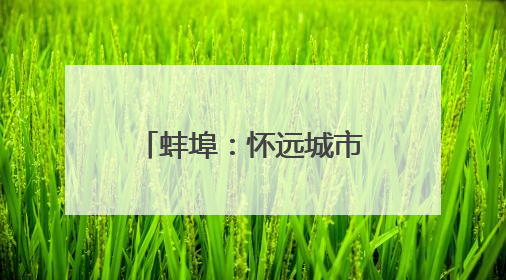 蚌埠：怀远城市更新项目建设按下“加速键”