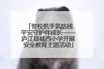 警校携手筑防线 平安守护伴成长——庐江县城西小学开展安全教育主题活动