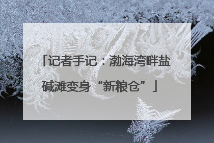 记者手记：渤海湾畔盐碱滩变身“新粮仓”
