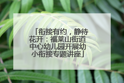 衔接有约，静待花开：福莱山街道中心幼儿园开展幼小衔接专题讲座