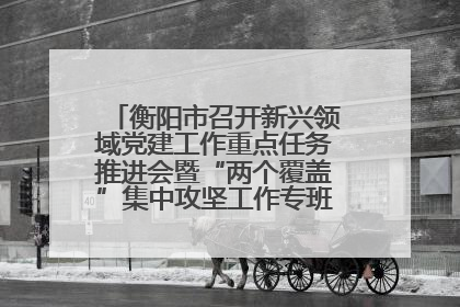 衡阳市召开新兴领域党建工作重点任务推进会暨“两个覆盖”集中攻坚工作专班 第一次会议
