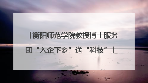 衡阳师范学院教授博士服务团“入企下乡”送“科技”