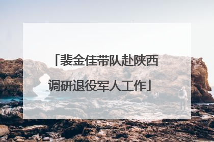 裴金佳带队赴陕西调研退役军人工作