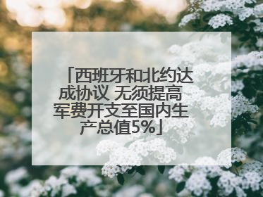 西班牙和北约达成协议 无须提高军费开支至国内生产总值5%