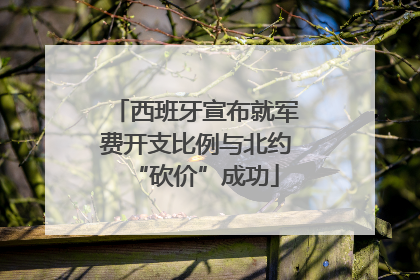 西班牙宣布就军费开支比例与北约“砍价”成功