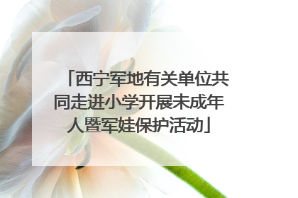 西宁军地有关单位共同走进小学开展未成年人暨军娃保护活动