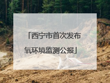 西宁市首次发布氧环境监测公报