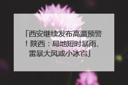 西安继续发布高温预警！陕西：局地短时暴雨、雷暴大风或小冰雹
