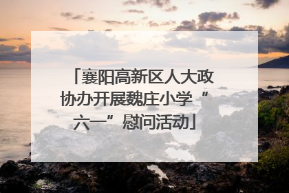 襄阳高新区人大政协办开展魏庄小学“六一”慰问活动