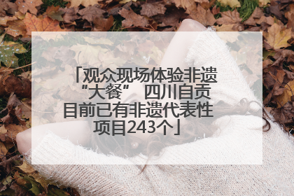 观众现场体验非遗“大餐” 四川自贡目前已有非遗代表性项目243个