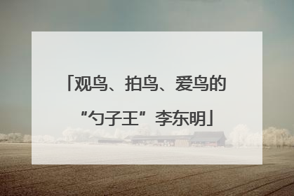 观鸟、拍鸟、爱鸟的“勺子王”李东明