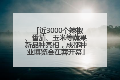 近3000个辣椒、番茄、玉米等蔬果新品种亮相，成都种业博览会在蓉开幕