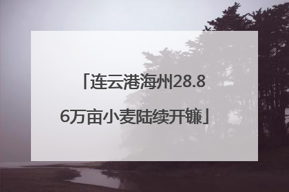 连云港海州28.86万亩小麦陆续开镰