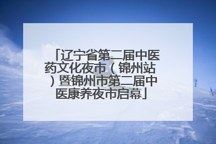 辽宁省第二届中医药文化夜市（锦州站）暨锦州市第二届中医康养夜市启幕