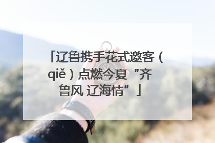 辽鲁携手花式邀客（qiě）点燃今夏“齐鲁风 辽海情”