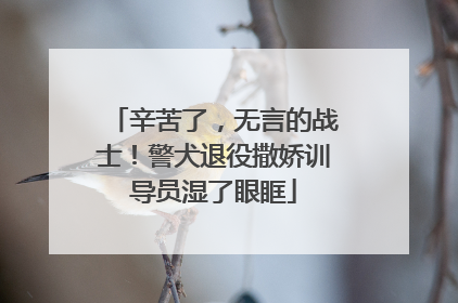 辛苦了，无言的战士！警犬退役撒娇训导员湿了眼眶