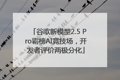 谷歌新模型2.5 Pro霸榜AI竞技场，开发者评价两极分化