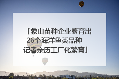 象山苗种企业繁育出26个海洋鱼类品种 记者亲历工厂化繁育