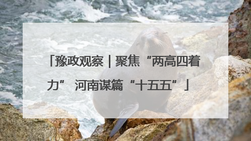 豫政观察｜聚焦“两高四着力” 河南谋篇“十五五”