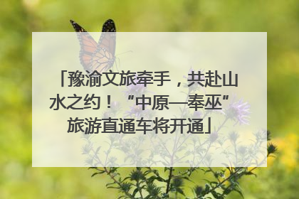 豫渝文旅牵手，共赴山水之约！“中原—奉巫”旅游直通车将开通