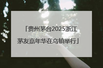 贵州茅台2025浙江茅友嘉年华在乌镇举行