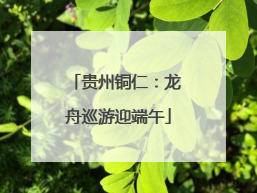 贵州铜仁：龙舟巡游迎端午