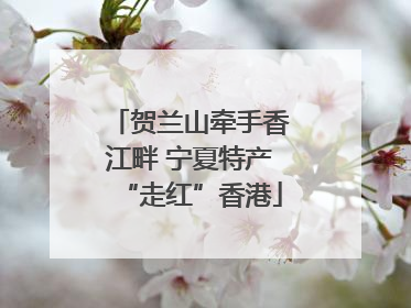 贺兰山牵手香江畔 宁夏特产“走红”香港