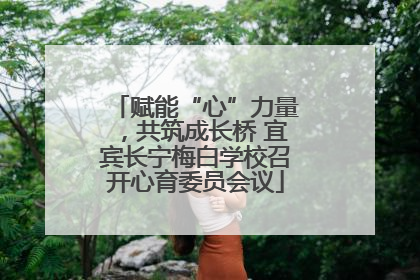 赋能“心”力量，共筑成长桥 宜宾长宁梅白学校召开心育委员会议