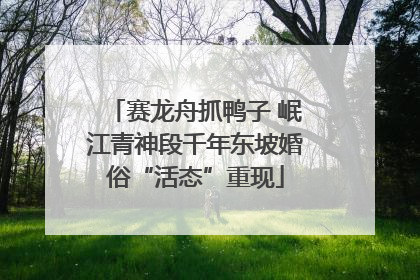 赛龙舟抓鸭子 岷江青神段千年东坡婚俗“活态”重现