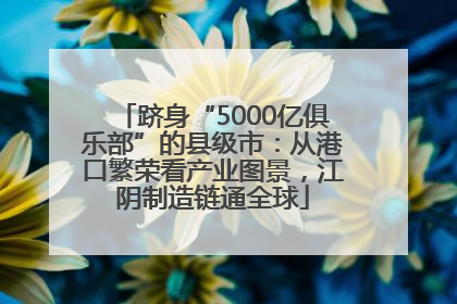 跻身“5000亿俱乐部”的县级市：从港口繁荣看产业图景，江阴制造链通全球