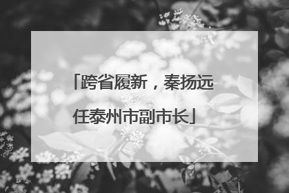跨省履新，秦扬远任泰州市副市长