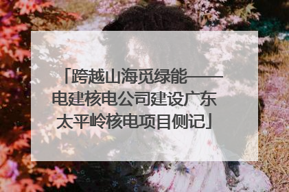 跨越山海觅绿能——电建核电公司建设广东太平岭核电项目侧记