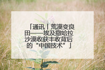 通讯丨荒漠变良田——埃及撒哈拉沙漠收获丰收背后的“中国技术”