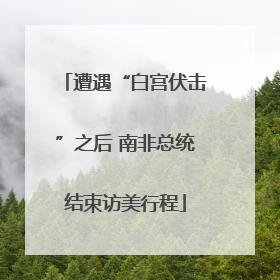 遭遇“白宫伏击”之后 南非总统结束访美行程