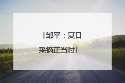 邹平：夏日采摘正当时