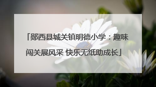 郧西县城关镇明德小学：趣味闯关展风采 快乐无纸助成长