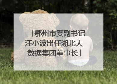 鄂州市委副书记汪小波出任湖北大数据集团董事长