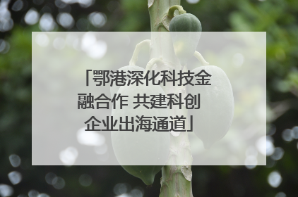 鄂港深化科技金融合作 共建科创企业出海通道