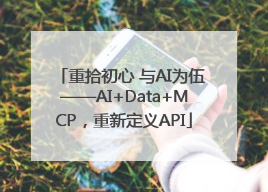 重拾初心 与AI为伍——AI+Data+MCP，重新定义API